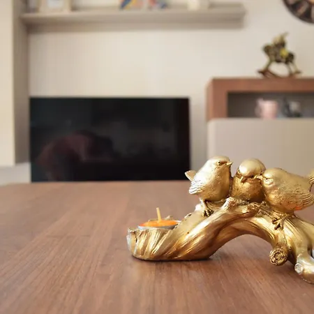 Il Pappagallo D'oro A * Rimini