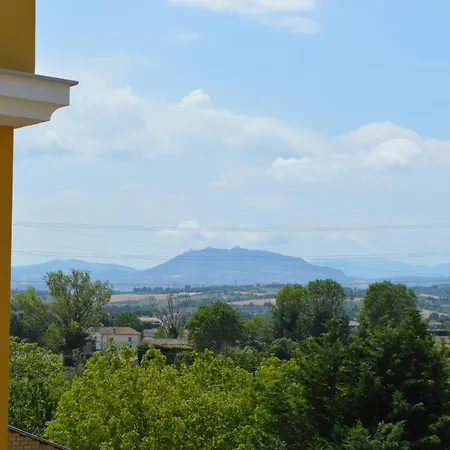 Il Pappagallo D'oro A *